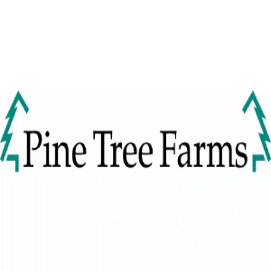 Pine Tree Farms
